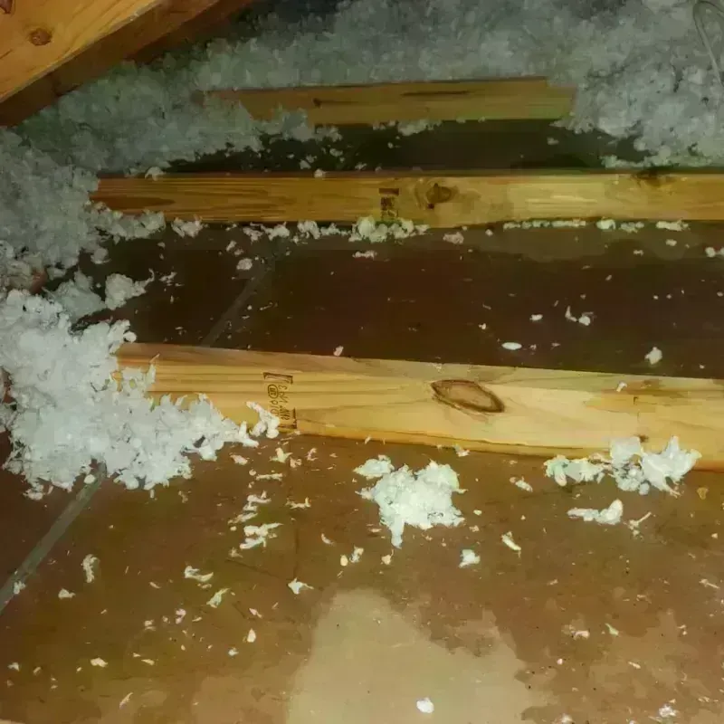 Attic Water Damage in Cherry Valley, CA